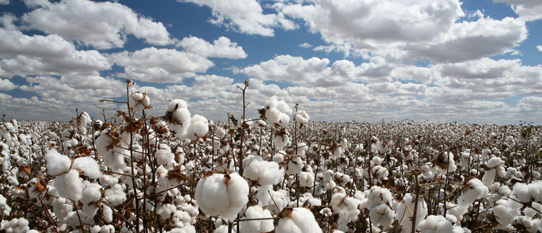 Evosia's global commitment