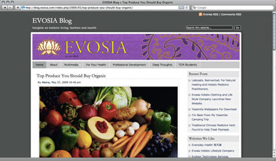 Link to the Evosia Blog, exploring the realm of living powerful, enlightened and fulfilled lives through holistic lifestyle, fashion and health.